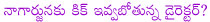 telugu hero nagarjuna,nagarjuna latest movies,nagarjuna in rajanna,nagarjuna in damarukam,nagarjuna and surender redddy combo movie,nagarjuna as shirdi sai,nagarjuna and raghavendra rao combo movie shirdi sai,nagarjuna busy with rajanna,damarukam